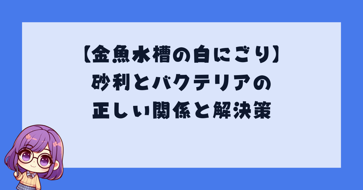 【金魚水槽の白にごり】砂利とバクテリアの正しい関係と解決策