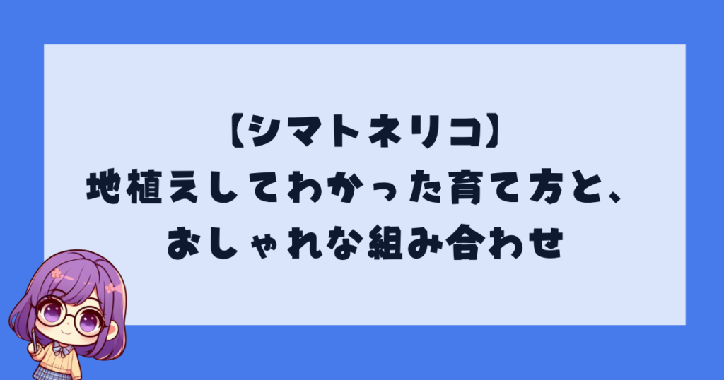 【シマトネリコ】地植えしてわかった育て方と、おしゃれな組み合わせ