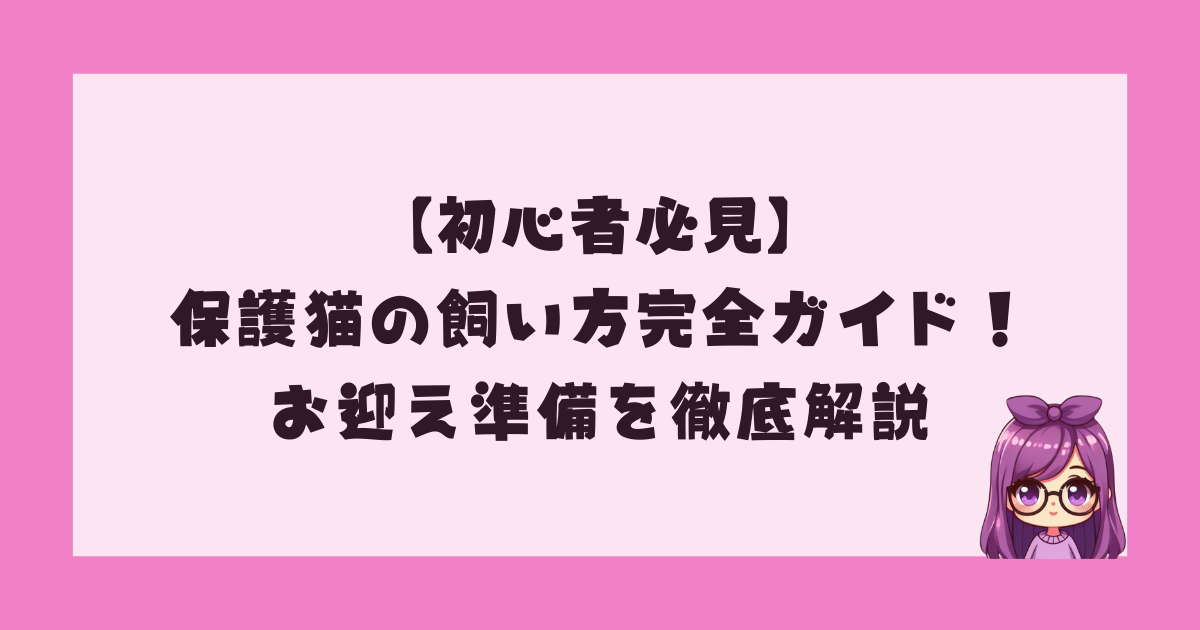 【初心者必見】保護猫の飼い方完全ガイド！お迎え準備を徹底解説